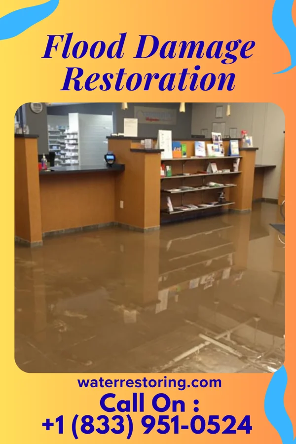 Flood Damage Restoration in McDonald, NC